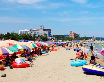 2025 울산옹기축제 일정 및 교통 주차 안내