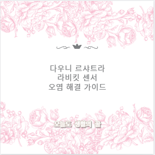 다우니 르샤트라 라비킷 센서 오염 해결 가이드