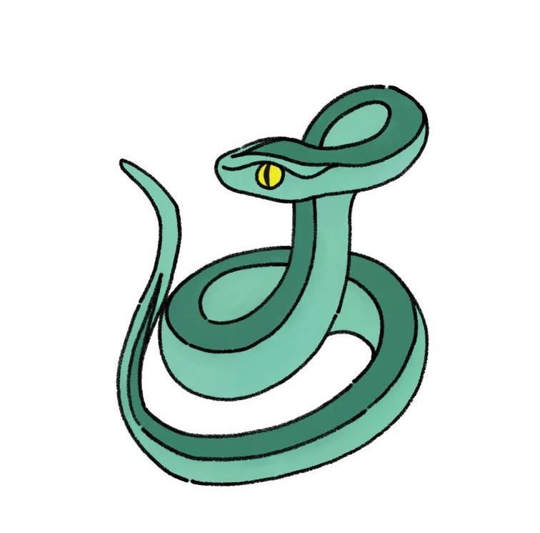 뱀 이미지