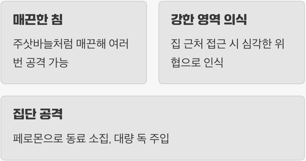 침의 구조부터 다르다, '무한 공격'의 비밀