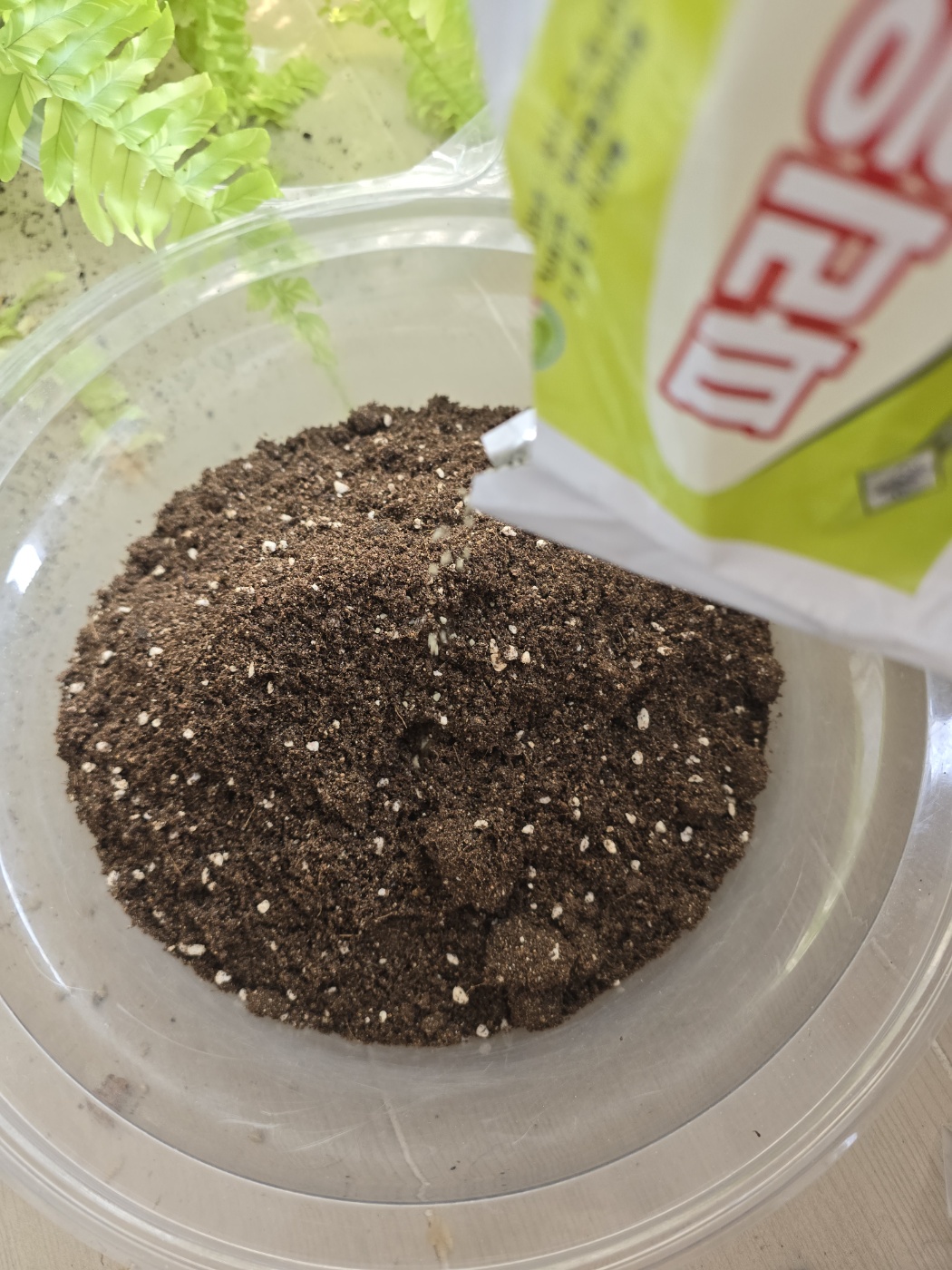 뿌리파리응애균살충제