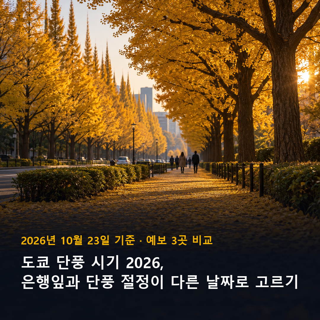 도쿄 단풍 시기 2026 은행나무 길 표지