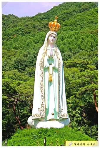 천진암 흰민들레 백양자연관찰로 괭이눈 개화_10