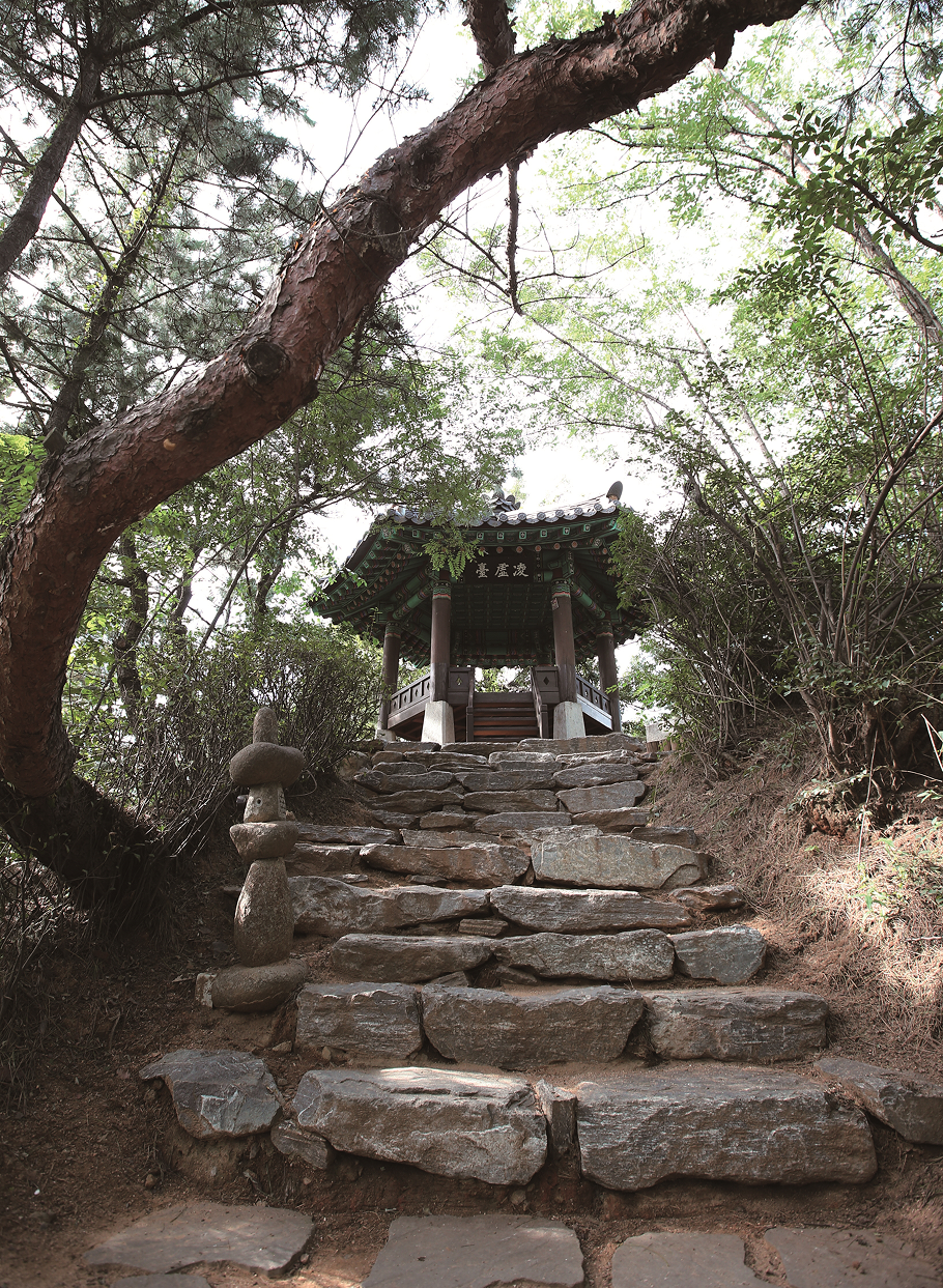 2025 송도해변축제 완벽정리! 도심에서 만나는 인공해변과 환상 공연 총정리”