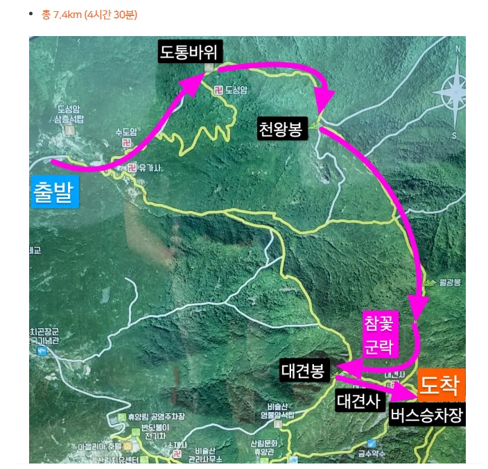 대구 달성 비슬산 알레버스 버스 투어