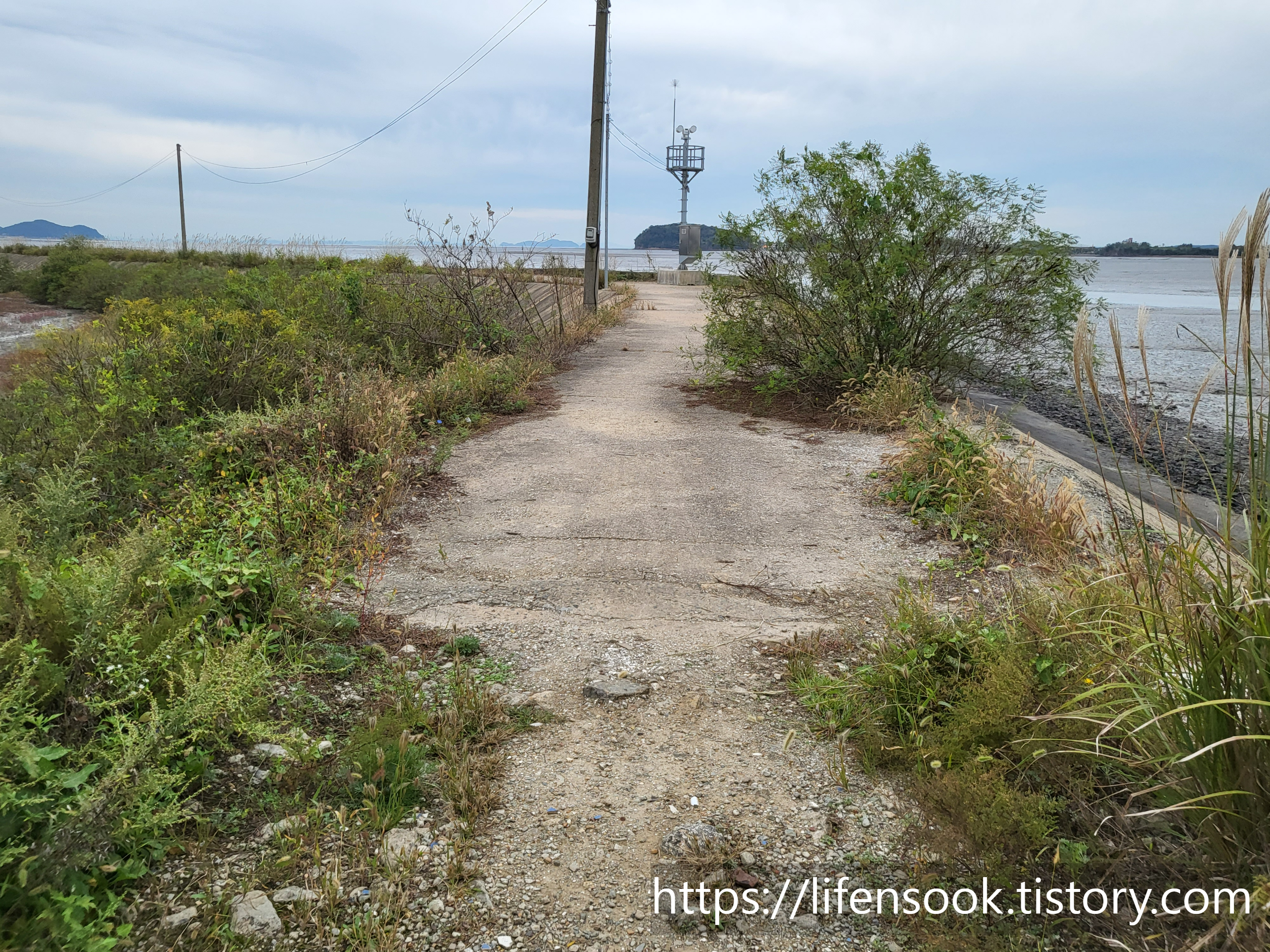 대부해솔길 6코스 선감항 제방