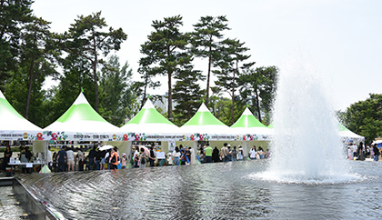  제20회 유엔남구 반딧불이 축제 특징
