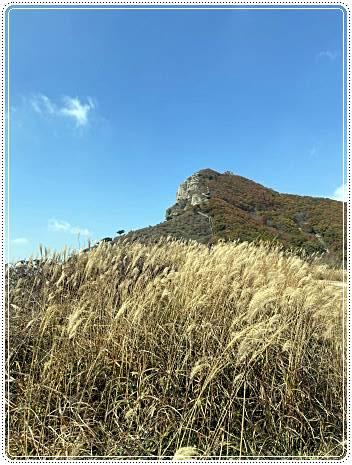 황매산-억새축제