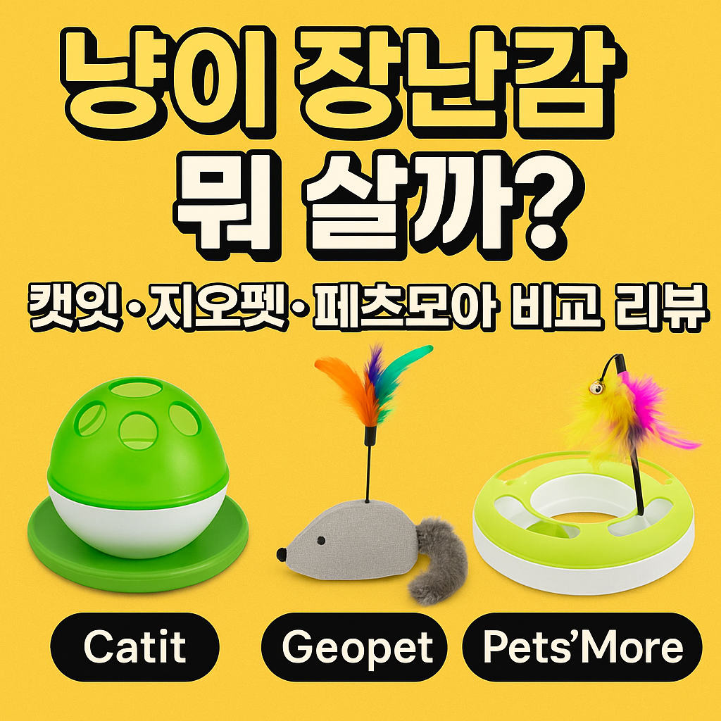냥이 장난감