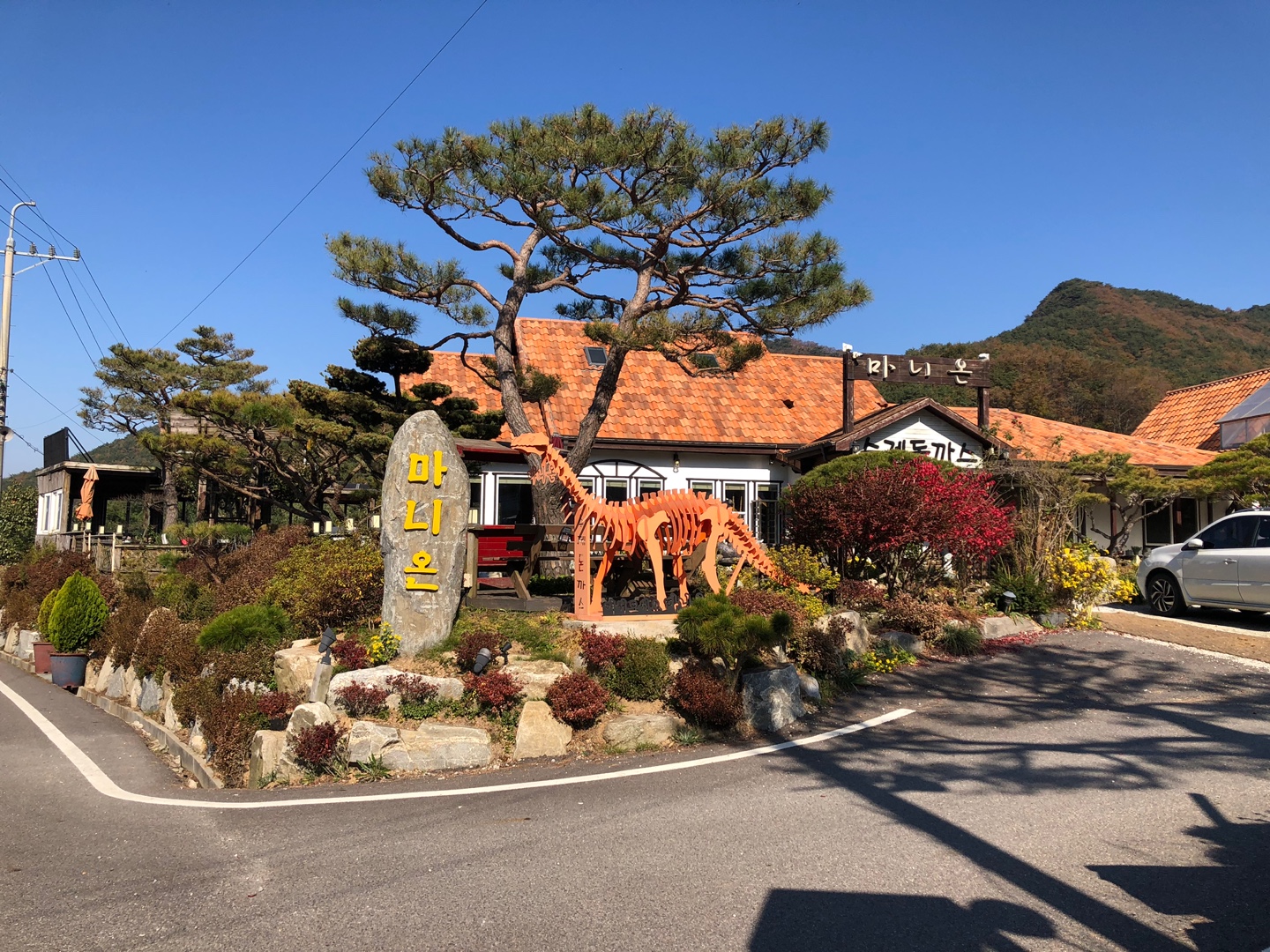 마니온 돈까스 1