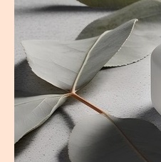 입술 포진 빨리낫는법