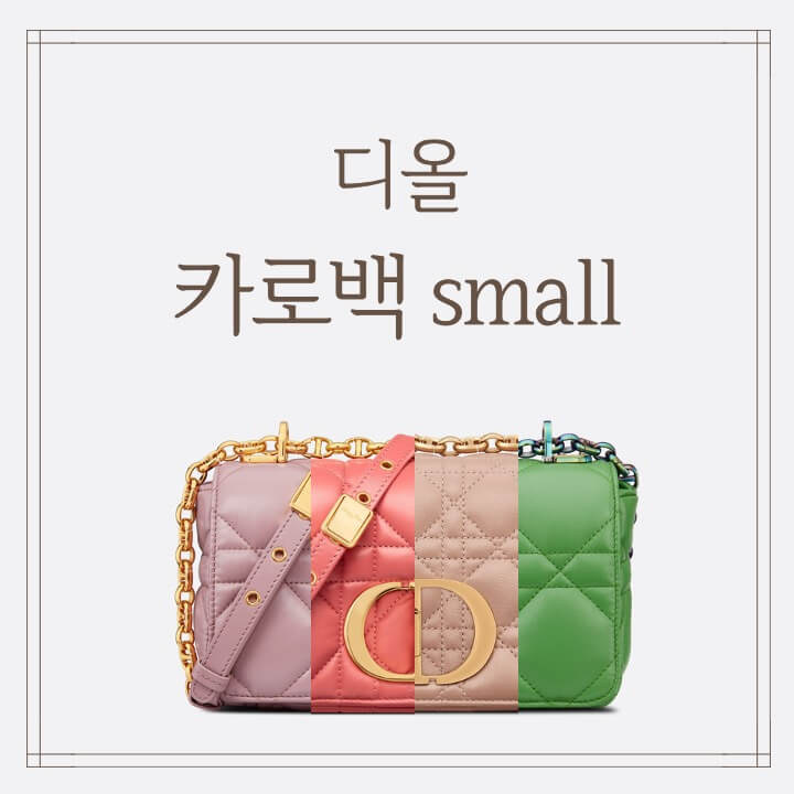 디올 카로 스몰 이미지 (3)