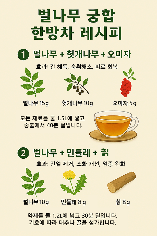 벌나무차