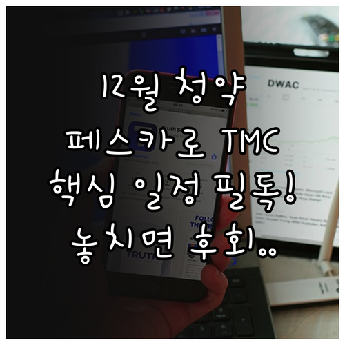 페스카로 티엠씨 등 12월 공모주 청..