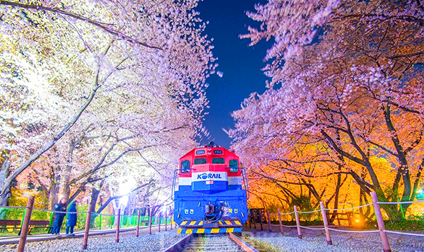 숙박 세일 페스타