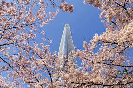 서울 벚꽃 명소