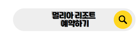 발리 신혼여행
