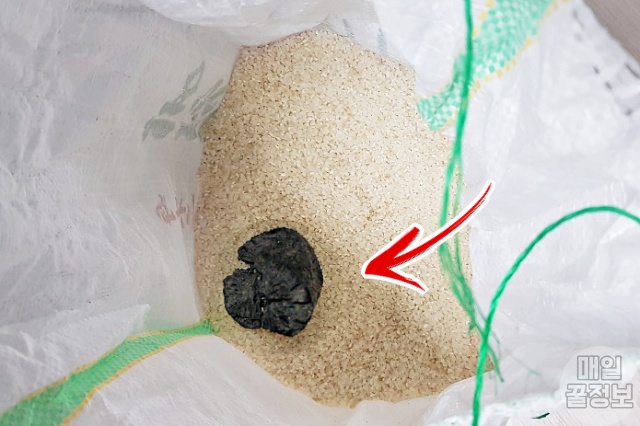 숯 쌀벌레 없애는법, 쌀벌레 애벌레, 바구미, 쌀 보관방법 보관법, 팁줌 매일꿀정보