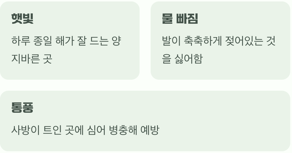 햇빛과 바람, 최고의 명당