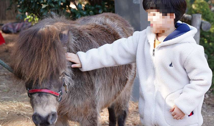 대구 네이처파크 체험프로그램