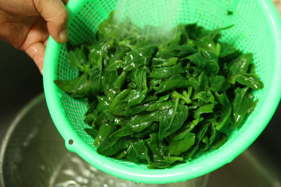 번행초 씻는 모습