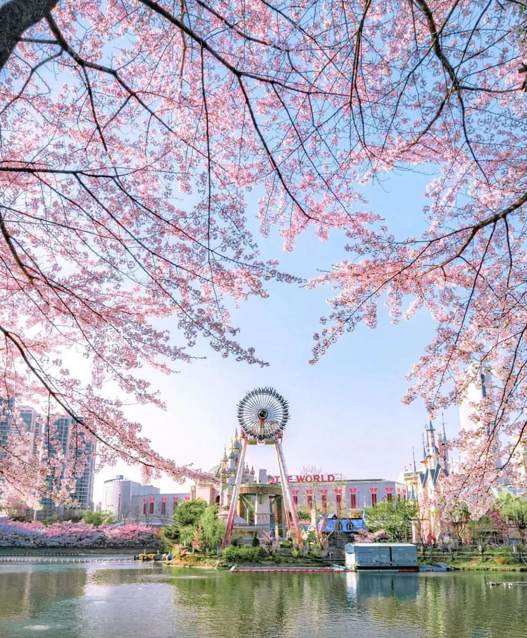 서울 겹벚꽃 명소 추천