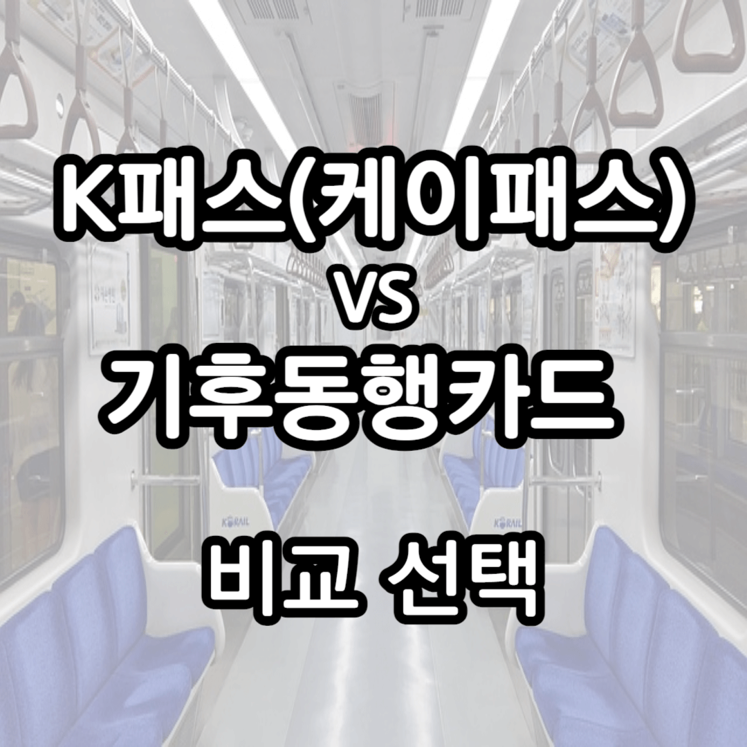 K패스(케이패스), 기후동행카드 비교 선택