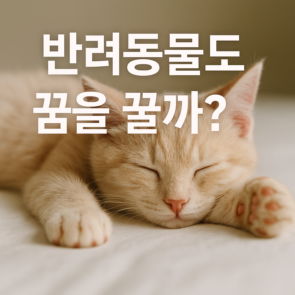 아기 고양이가 편안하게 자는 모습