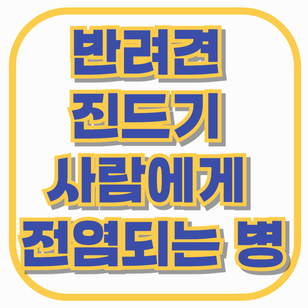 반려견 진드기 물림 증상과 사람에게 전염될 수 있는 병 총정리