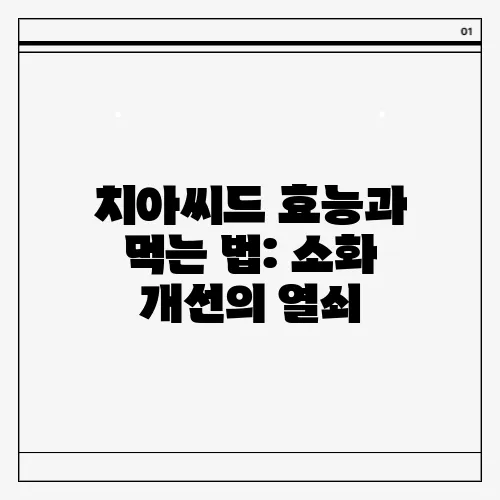 치아씨드 효능과 먹는 법: 소화 개선의 열쇠