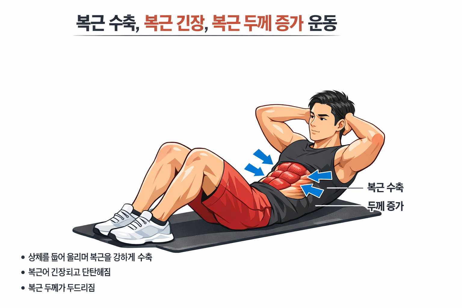 복근 수축 복근 긴장 복근 두께 증가 운동