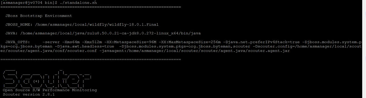 스카우터 실행 완료 화면