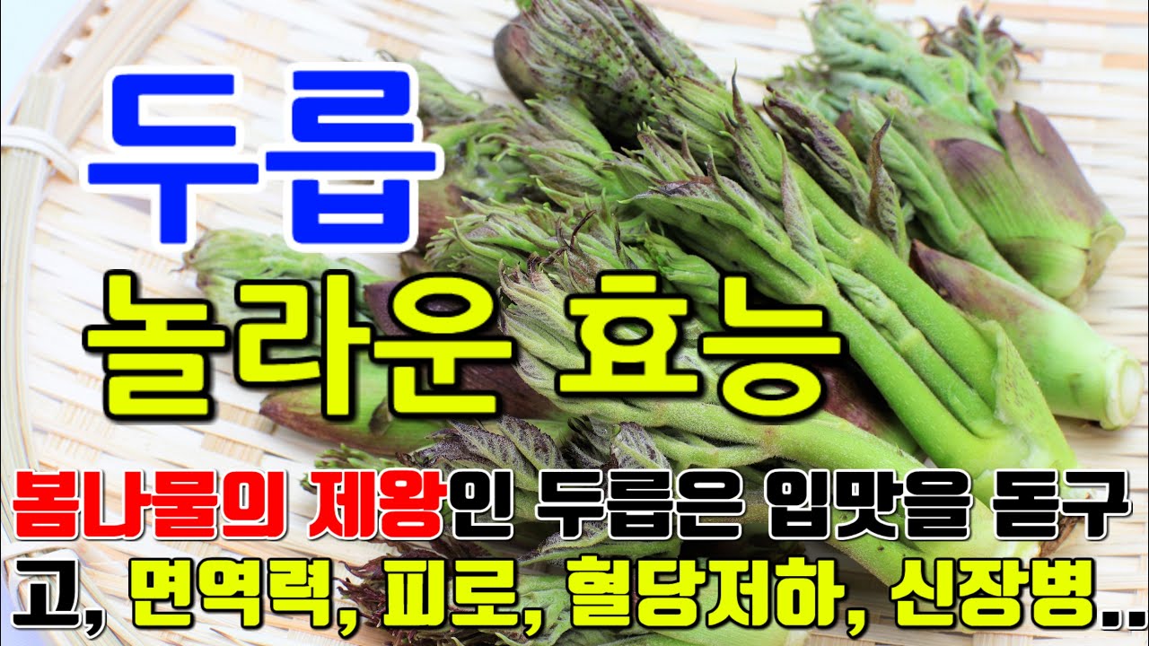 ▲ 두릅의 효능 총정리, 혈관 건강부터 면역력까지