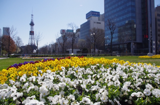삿포로의 오도리 공원