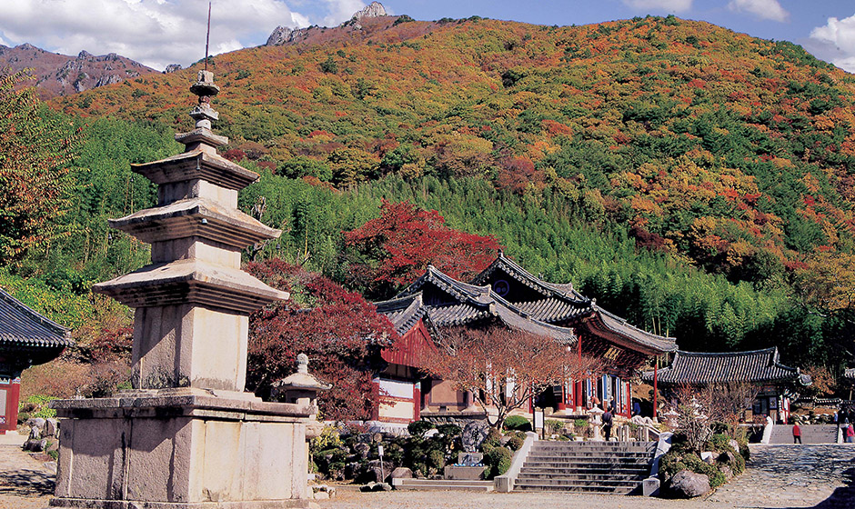 표충사 사계 (밀양 8경)