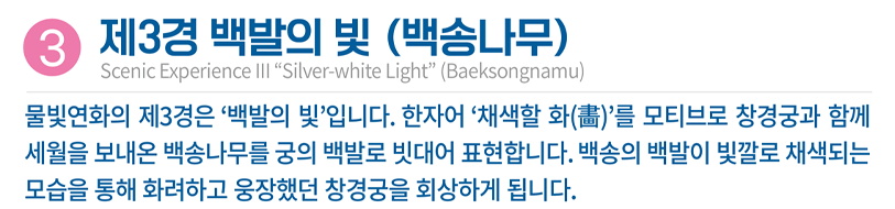 2025 창경궁 궁궐야행 예매 총정리(일정·할인·투어예매 완벽 가이드)