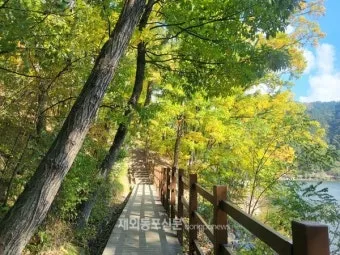 걷기좋은 숲길 50 서울 전남 경북_16
