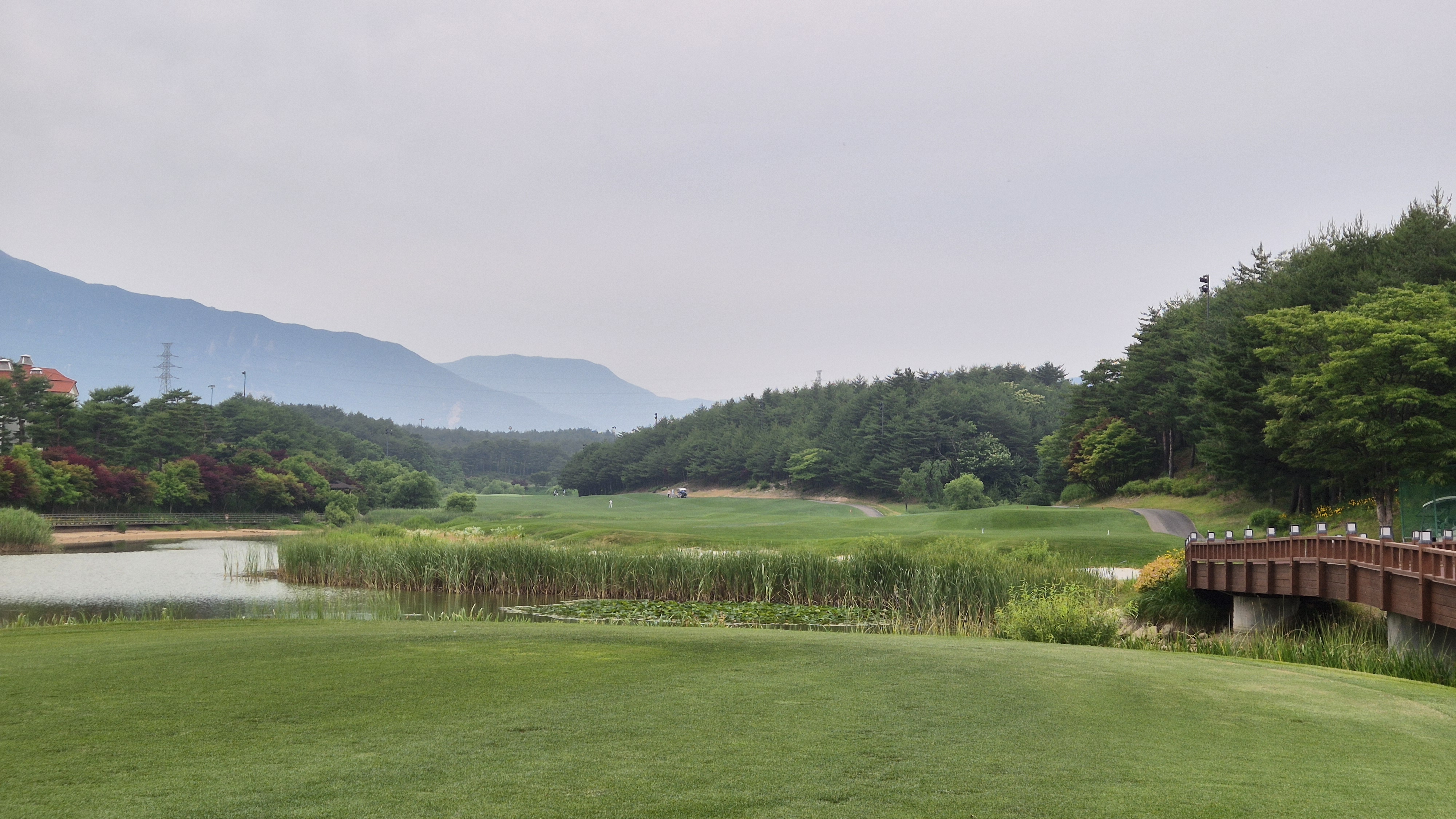 파인리즈cc 후기 및 코스사진