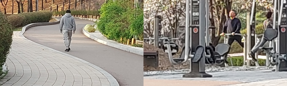 운동 기구
