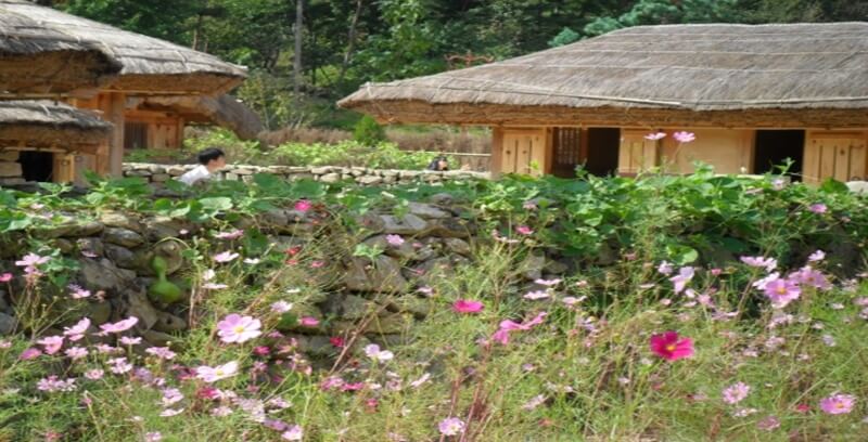 고향 꿈해몽 8가지 허몽 총정리 두번째