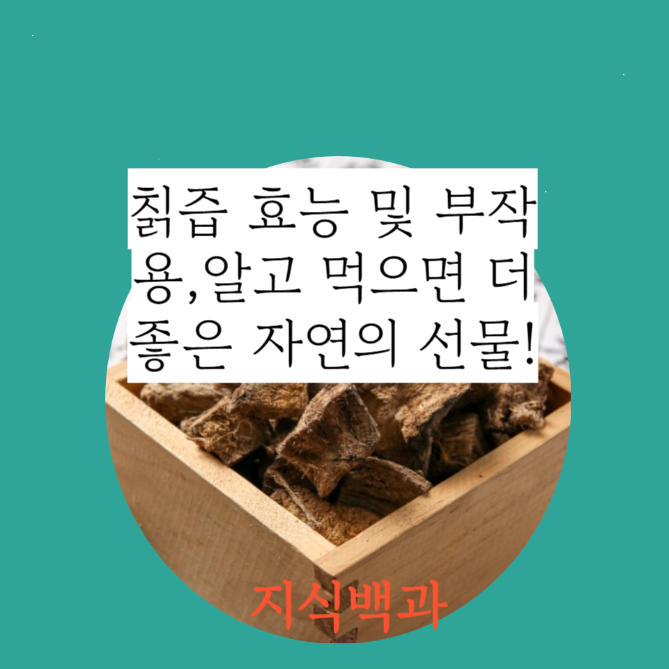 칡즙 효능 및 부작용,알고 먹으면 더 좋은 자연의 선물!