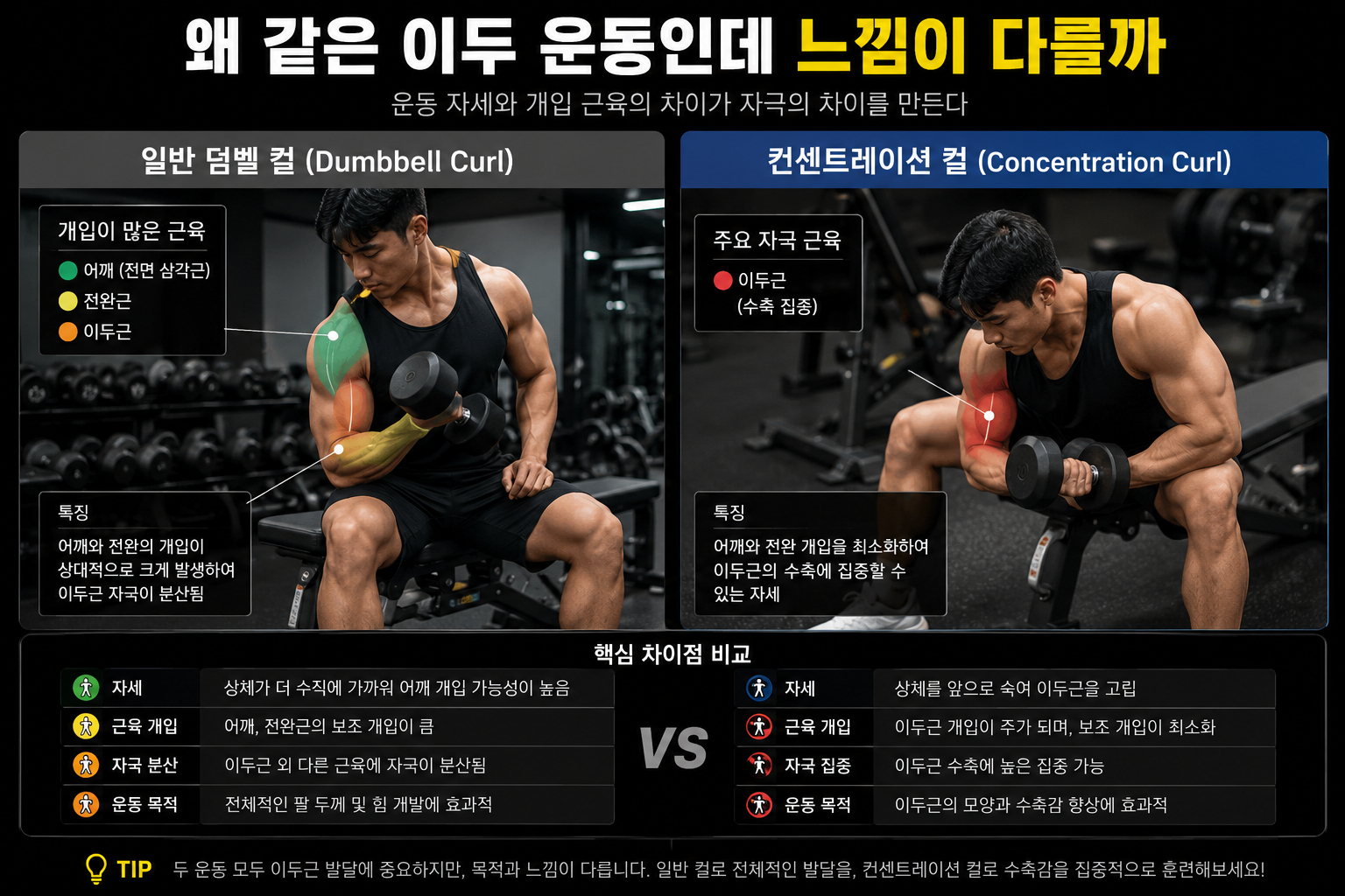 왜 같은 이두 운동인데 느낌이 다를까
