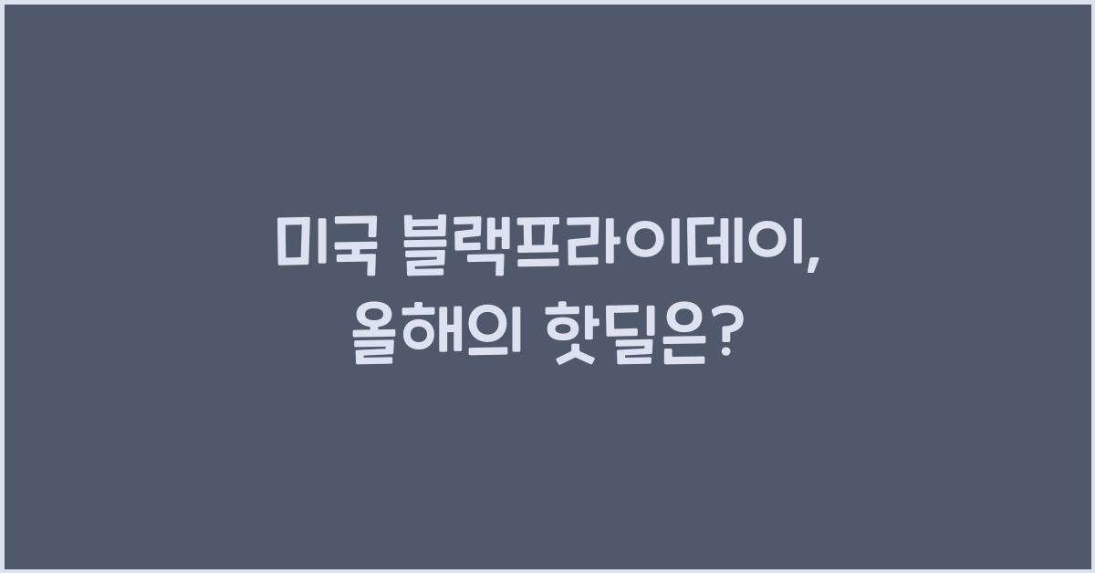 미국 블랙프라이데이