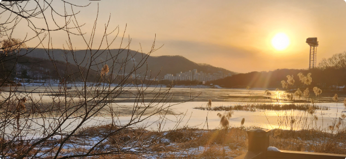 율동공원 나폴레옹