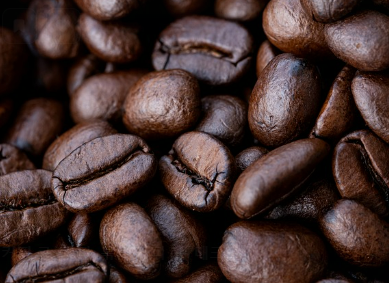 부산 카페쇼 커피