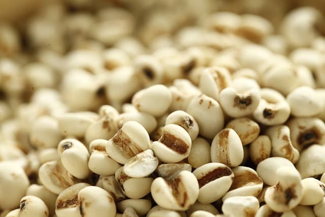 아시아 전통의 통곡물 식이요법의 치유력