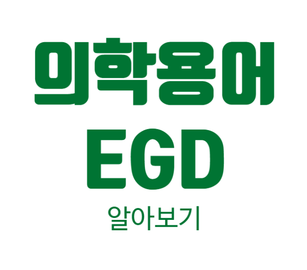 EGD-의학용어