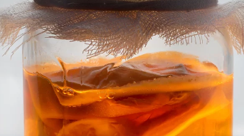 콤부차/출처:어도비스톡