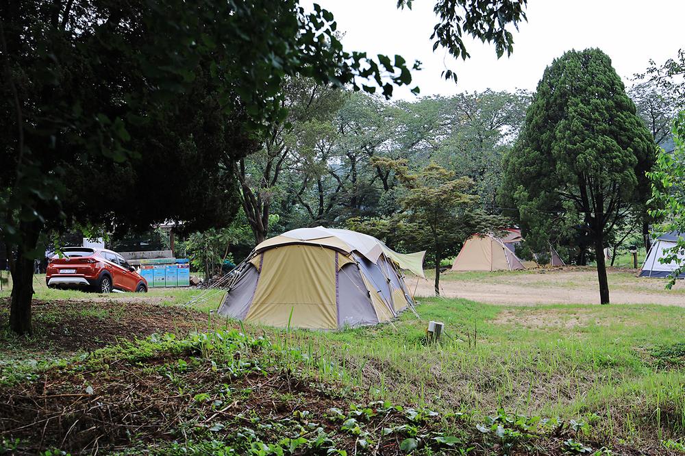 경기도 평택시 갈릴리 야영장 소개
