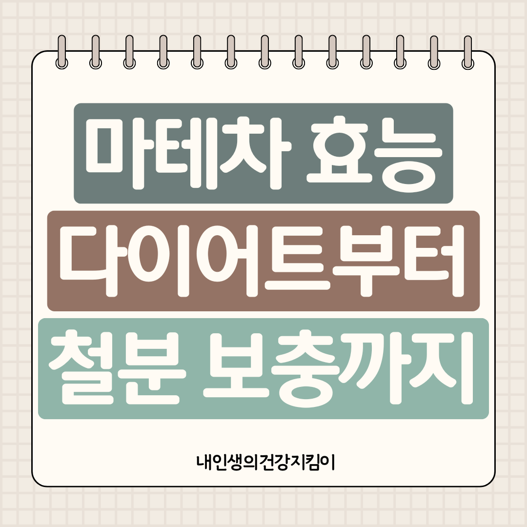 마테차 효능 7가지, 다이어트부터 철분 보충까지 메시가 마시는 이유